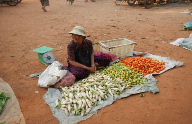 Remote Market Siem Reap, Siem Reap Cycling Tour