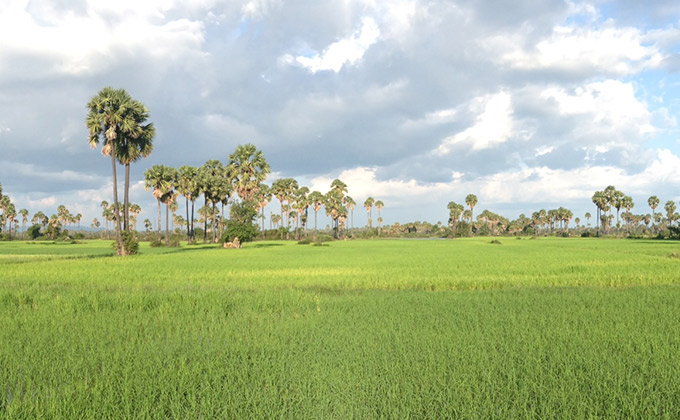 Camouflage Adventures, Cambodia Cycling Tour