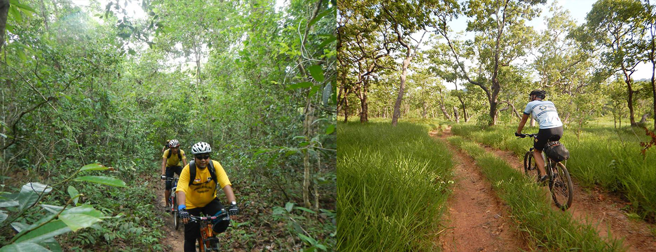 Camouflage Adventures, Cambodia Cycling Tour