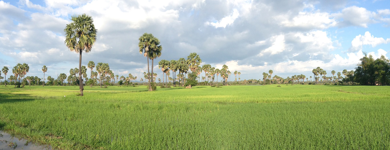 Camouflage Adventures, Cambodia Cycling Tour